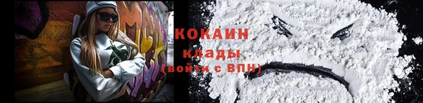 ПСИЛОЦИБИНОВЫЕ ГРИБЫ Арсеньев
