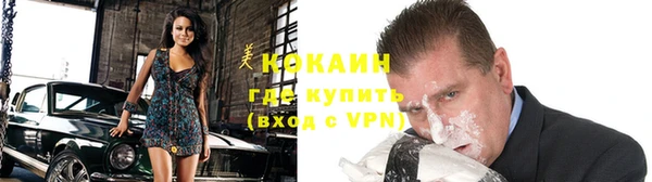 ПСИЛОЦИБИНОВЫЕ ГРИБЫ Арсеньев