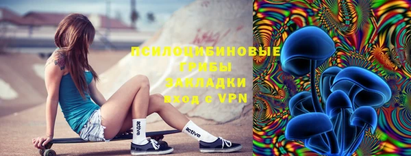 ПСИЛОЦИБИНОВЫЕ ГРИБЫ Арсеньев