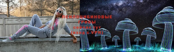 ПСИЛОЦИБИНОВЫЕ ГРИБЫ Арсеньев